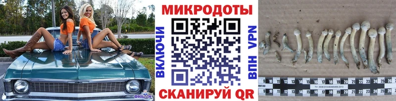 Галлюциногенные грибы GOLDEN TEACHER  Купить где  Аша 